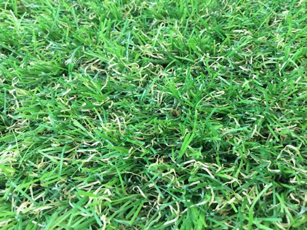 Rhonda artificial grass